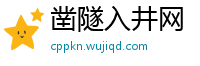 凿隧入井网